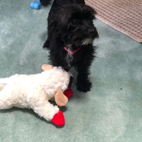 Meet your Posher, Irena - Picture 2 of 2